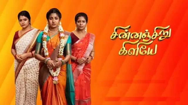 Chinnan Siru Kiliye Episode 308 Zee Tamil TV Source 02